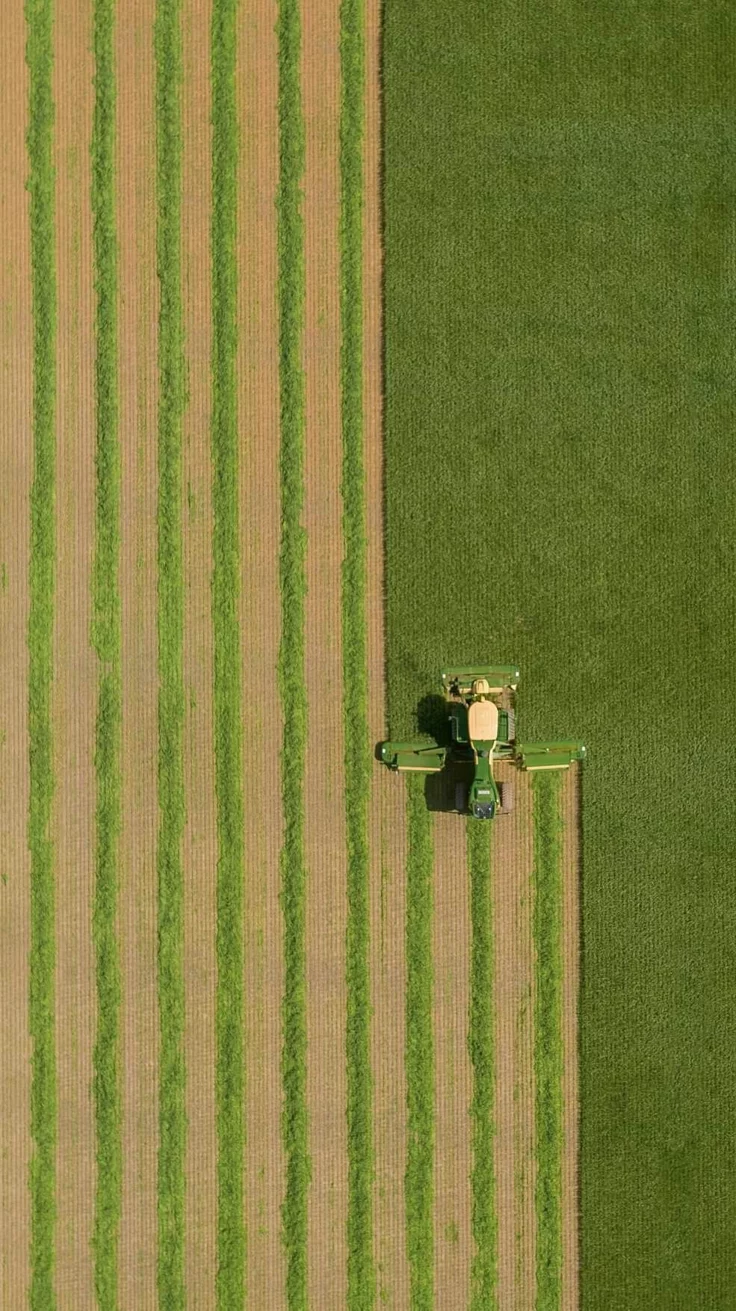 Aerial farm